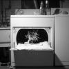 And her mother said to her, "Pumpkin, you can't keep your dolls in the dryer or you'll have no clean clothes to wear. We can't have you running around naked." To which the little girl replied, "But how else can I keep them clean and warm?"