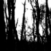 The Recollection Project