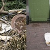 Untitled (Diptych)