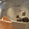 a past presents a future, gallery view from the northeast