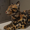 a past presents a future, laying ocelot