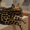 a past presents a future, lounging ocelot, stalking ocelot and airplane artifact with wall drawing
