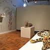 a past presents a future, with rolling ocelot, laying ocelot, rocket artifact and wall drawing