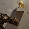 a past presents a future, stalking ocelot with airplane artifact and wall drawing