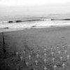 Arlington West Memorial, Santa Monica CA