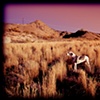 Louie @ Mystic Hot Springs, Monroe Utah