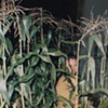 Carl Martin
Untitled, 1992
c-print
40 x 40 inches