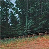 John Cleaveland
'Cornfield at Pickett's Mill, May 27', 2009
oil on panel
30 x 72 inches