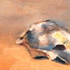 Margie Spalding
Oyster Shell
Oil on canvas
6 x 8 inches