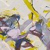 Magnoliaflague 8