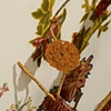How Does Your Garden Grow (detail)