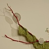 How Does Your Garden Grow (detail)