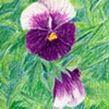 Flowers #7