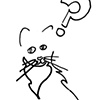 Confused Kitty