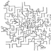 Lost in a Wooded Maze