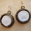 Brass and Sand Dollar Earrings