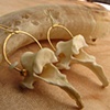 Snake Vertebrae Loops