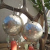 Silver and Coral Dangles