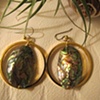 Abalone Hoops
