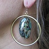 Abalone and Brass Earrings