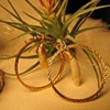 Tooth Hoops