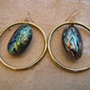 Abalone and Brass Earrings