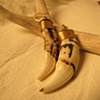 Large Dog Tooth Earrings