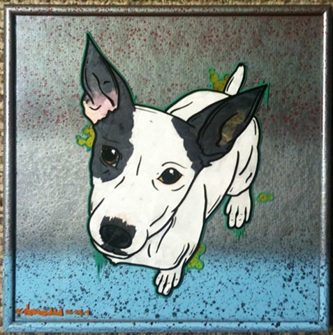 jack russell terrier