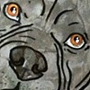 Hippo