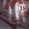 Country Devils "Broken Bones" CD cover-a