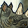 Rhino