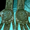 Bridal Classic