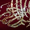 BISMILLAH