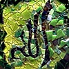ALLAH GREEN