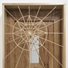 Untitled (Web Box), 2008