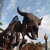 Descent of Civilization (Bison Memorial)