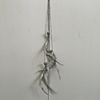 Untitled (Three Hanging Crystal Deer Sheds), 2011