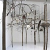 Always and Nothing, 2005