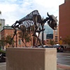 Descent of Civilization (Bison Memorial)