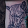 dog portrait.. 
