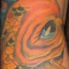 CUSTOM KOI