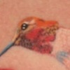 HUMMINGBIRD