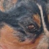 DUSTI LEG