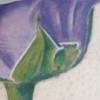 PURPLE ROSE MEMORIAL 
