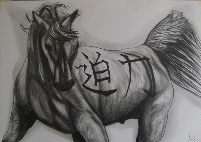 HORSE, NATURE, MYTH, POWER TOTEMS