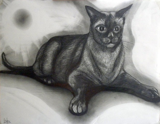 ANIMAL ART, FELINES, CATS