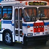 NEW YORK BUS 15