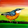 NUTHATCH
