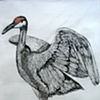 DANCING CRANE