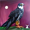 HOBBYHAWK